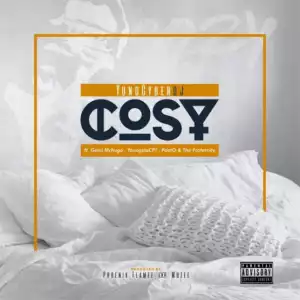 YungCyber Dj - Cosy ft. Gemi McHugo, YoungstaCPT, The Fraternity & PDotO
